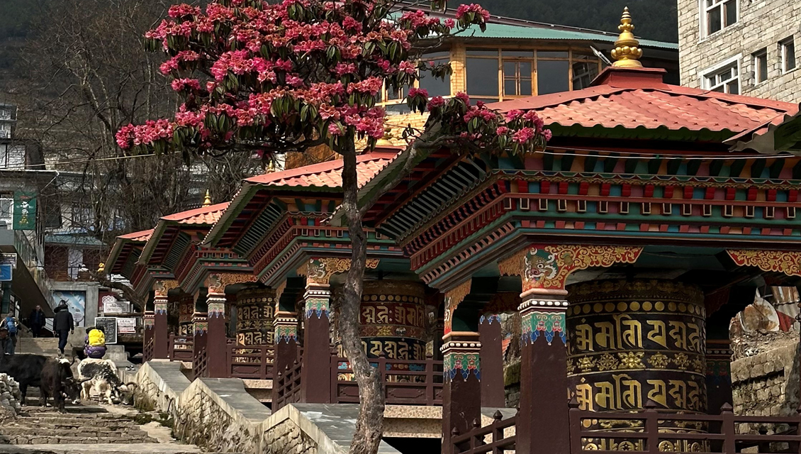 Trek to Namche Bazaar